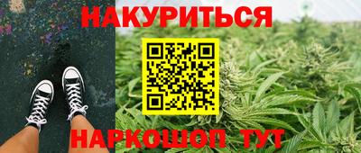 прущие крисы Новозыбков