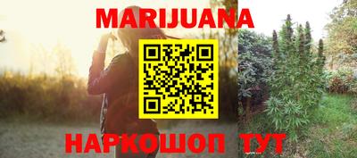 прущие крисы Новозыбков
