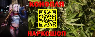 прущие крисы Новозыбков