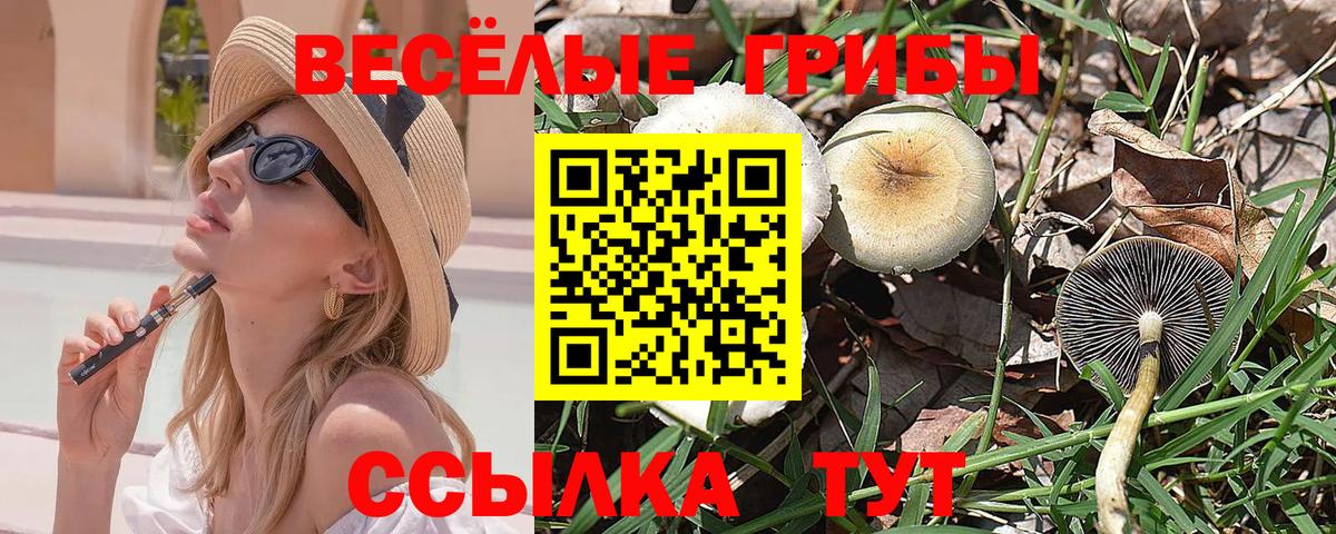 Галлюциногенные грибы Psilocybine cubensis  Вход с VPN  Галлюциногенные грибы GOLDEN TEACHER  Ртищево 