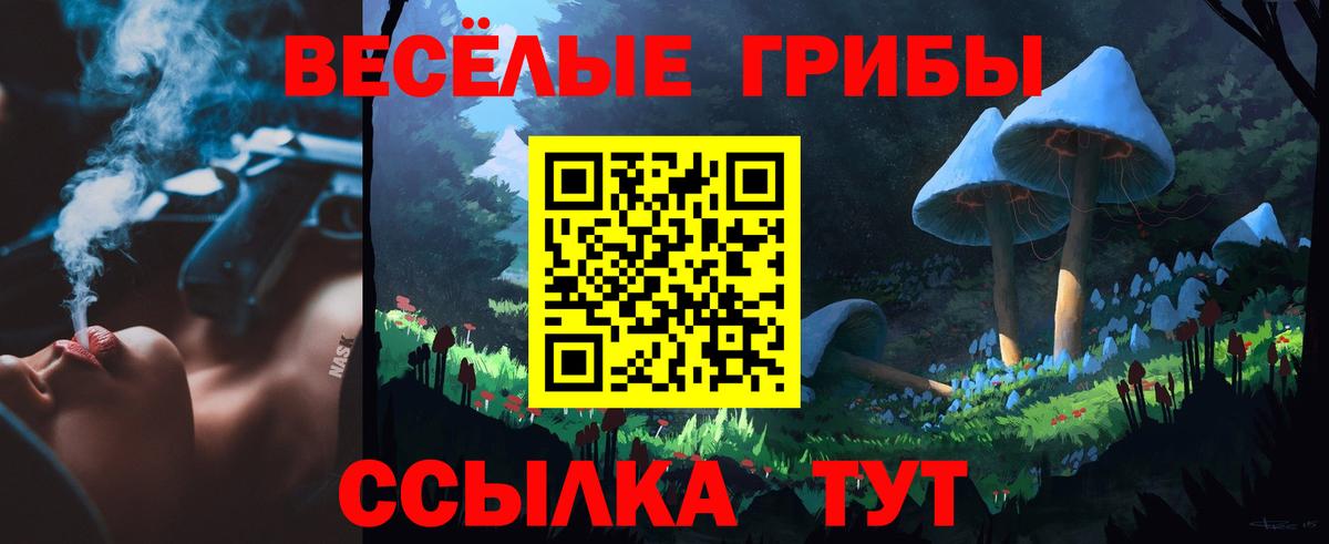 Галлюциногенные грибы прущие грибы Ртищево